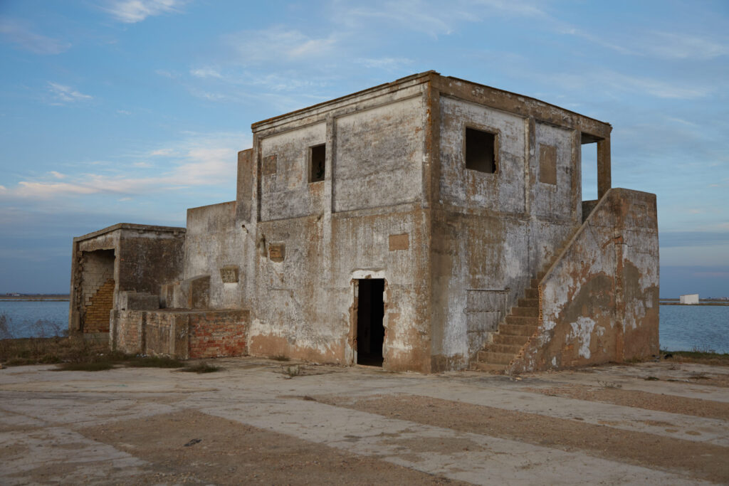 Alicia Palacios-Ferri