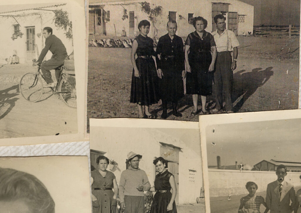 Alicia Palacios-Ferri