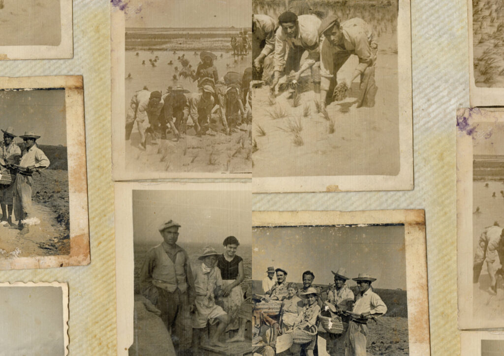 Alicia Palacios-Ferri