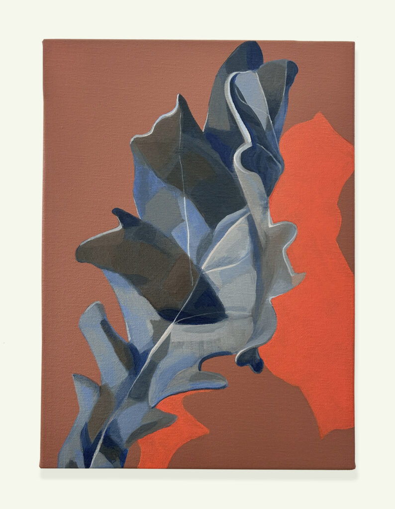 Álvaro González. Blind Botanist 3, 2024