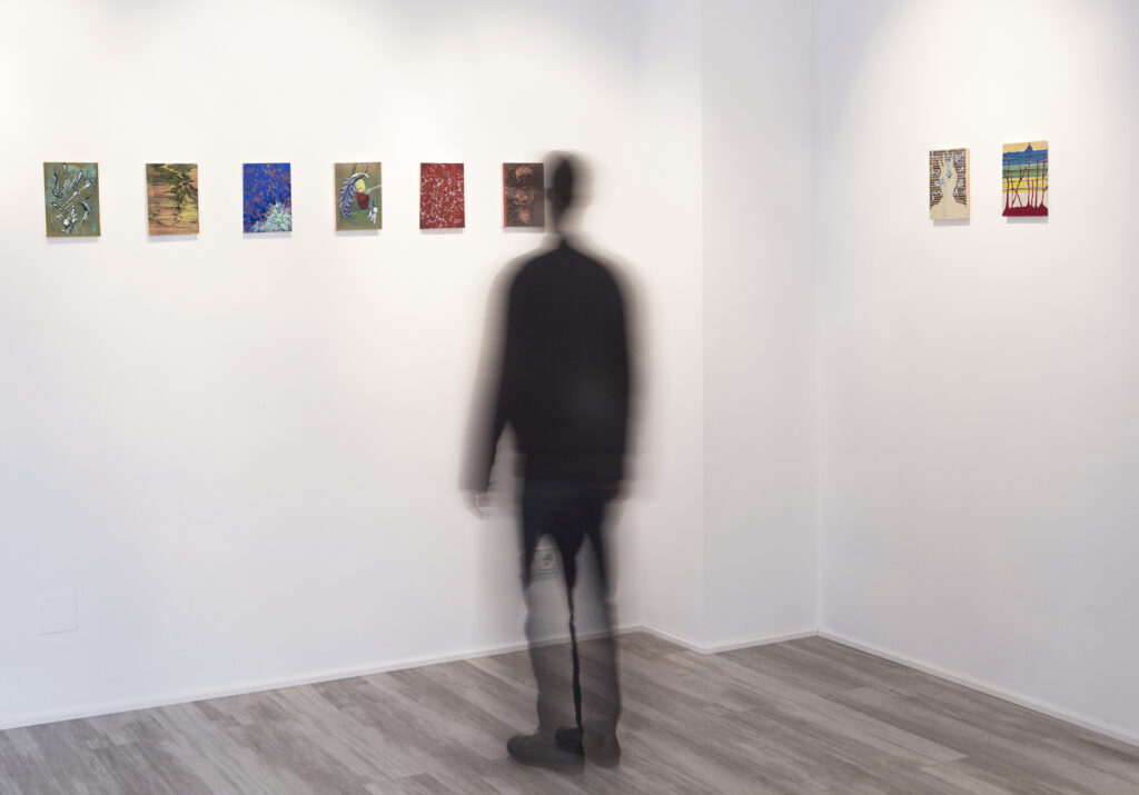 Álvaro González. Exposición individual "El valle de los huesos secos". Espacio Alexandra, 2015. Fotografía: Javier Lamela