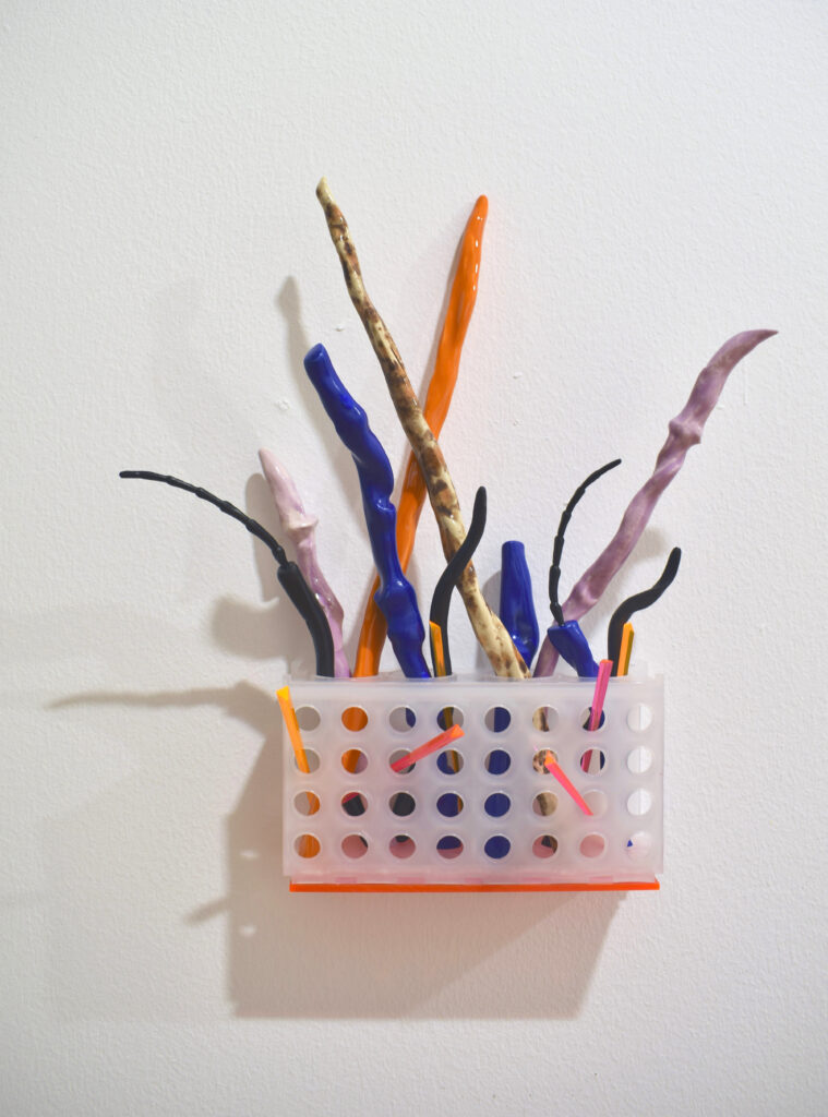 Álvaro González. Estación de propagación (Hortus conclusus), 2023. Colección Museo Arte Santander (MAS).