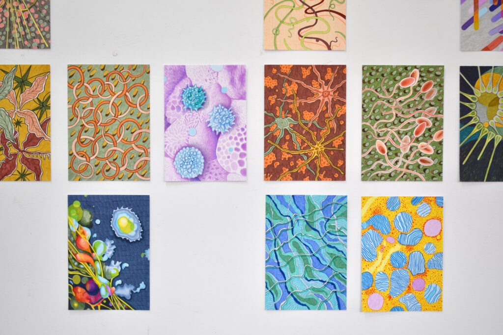 Álvaro González. Fragmentos del cosmos, 2009
