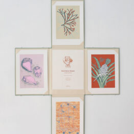 Libro de artista Naturae Imago. Texto, dibujos y estampación: Álvaro González. Editado por Carmen Quijano Estudio. Producido en Espacio Alexandra, 2017
