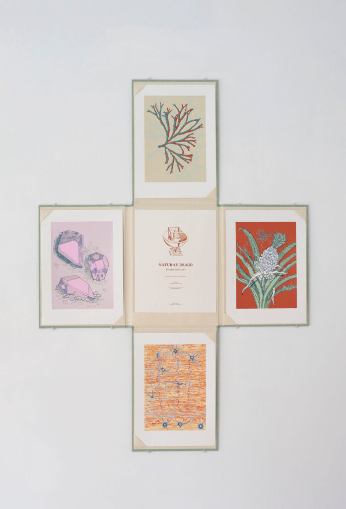 Libro de artista Naturae Imago. Texto, dibujos y estampación: Álvaro González. Editado por Carmen Quijano Estudio. Producido en Espacio Alexandra, 2017