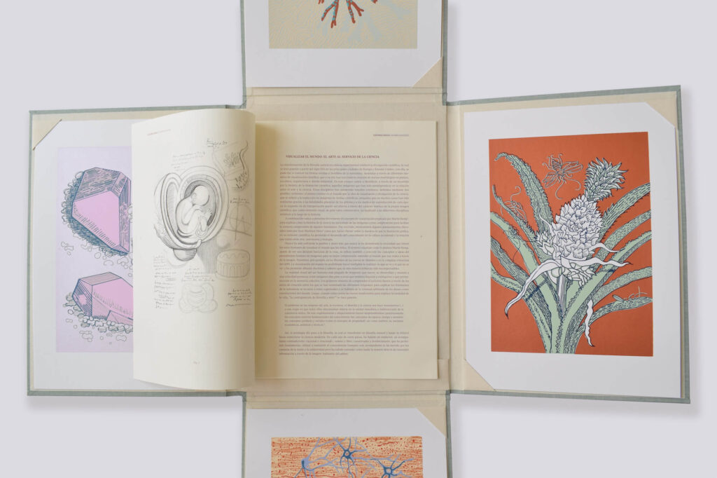 Libro de artista Naturae Imago. Texto, dibujos y estampación: Álvaro González. Editado por Carmen Quijano Estudio. Producido en Espacio Alexandra, 2017