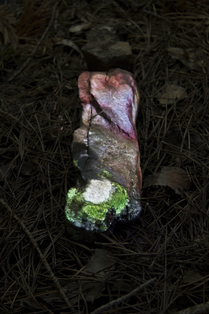 David Cantarero Tomás. Piedra (automímesis), 2015