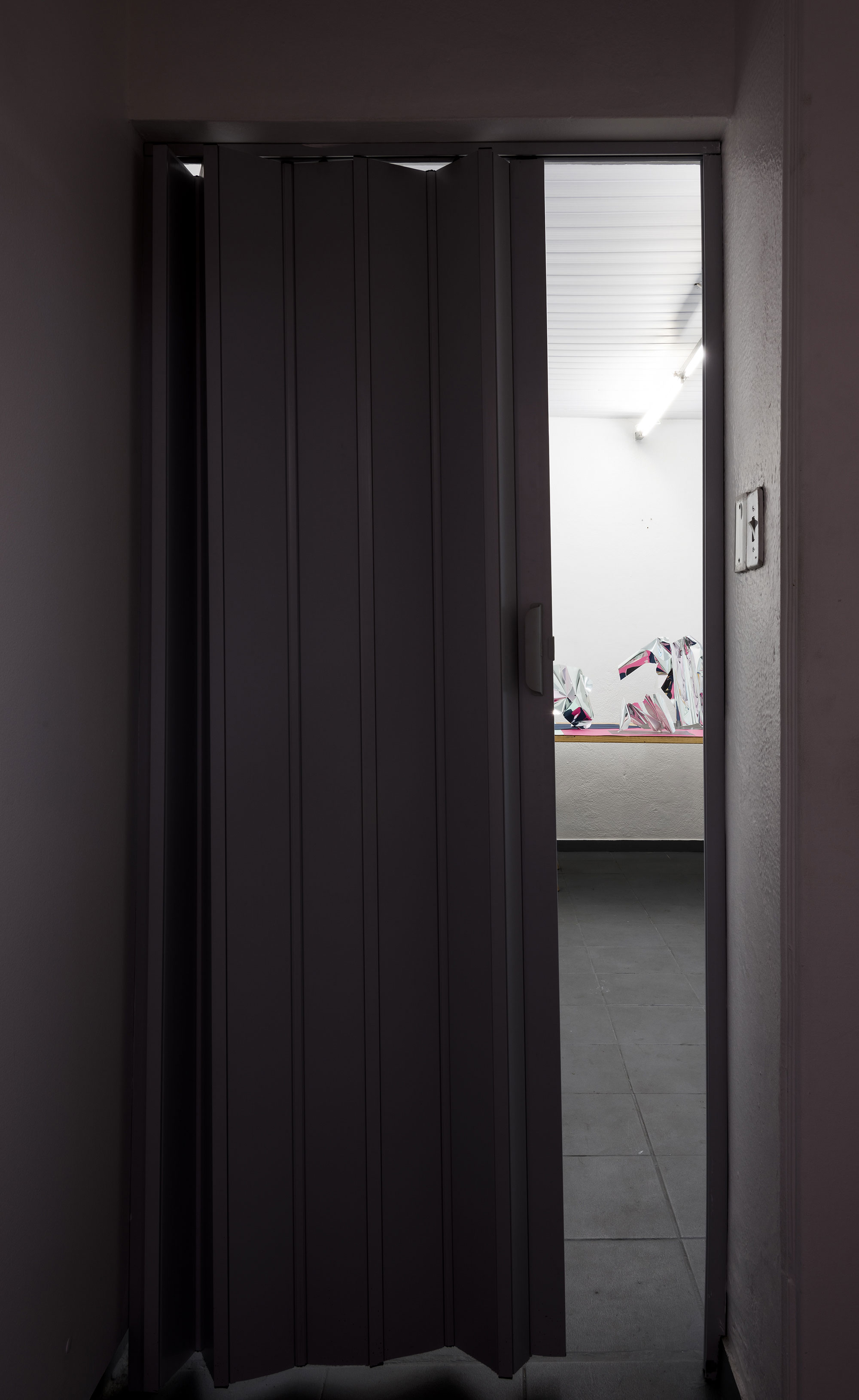 Raúl Díaz Reyes. I’M THE PROBLEM, Vista de la exposición, Ateliê Fidalga