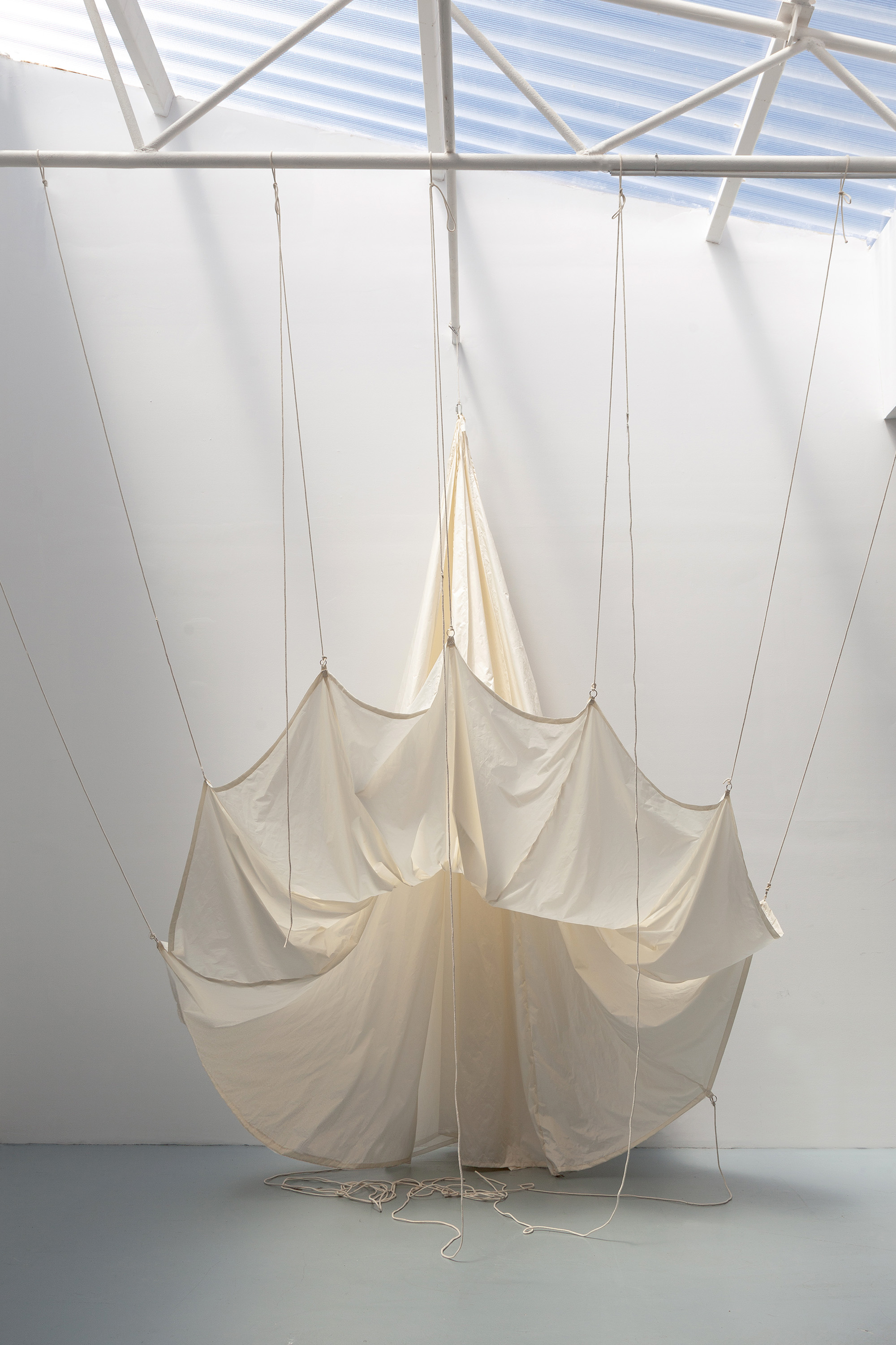 Elena Rocabert. Lilium White, 2023