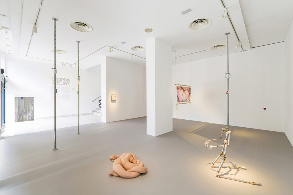 Elena Rocabert. Porous body under construction. Exposición "Materia afectiva". Sala de Arte Joven, 2025