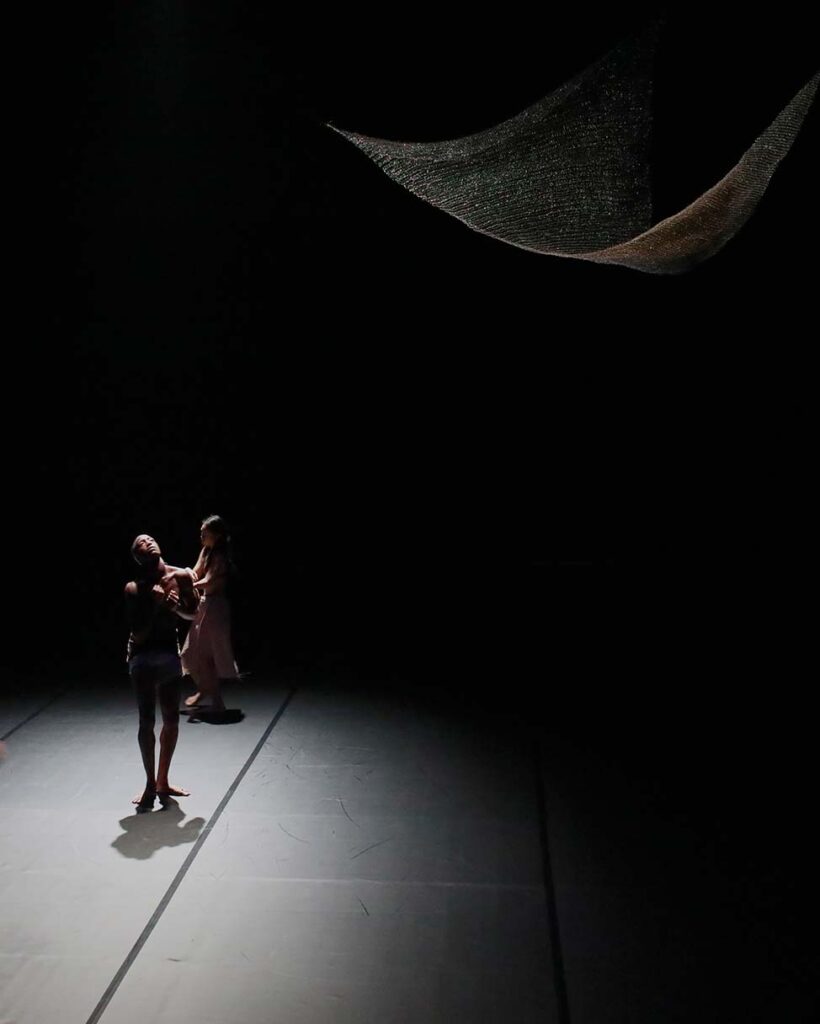 Elena Rocabert. Swans, 2024. Teatros del Canal