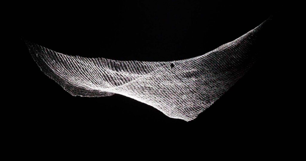 Elena Rocabert. Swans, 2024. Teatros del Canal