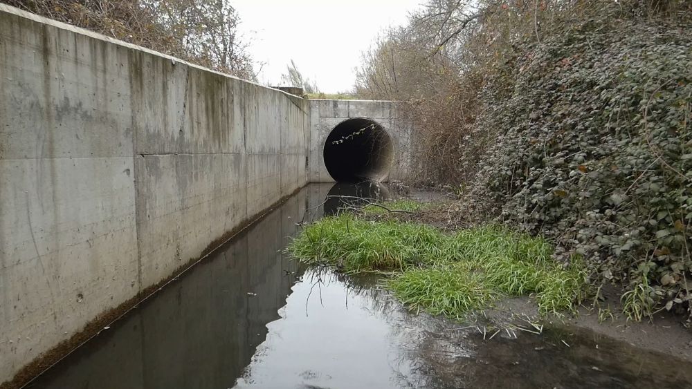 Emma Álvarez Marty. Acción para un río contaminado, 2023