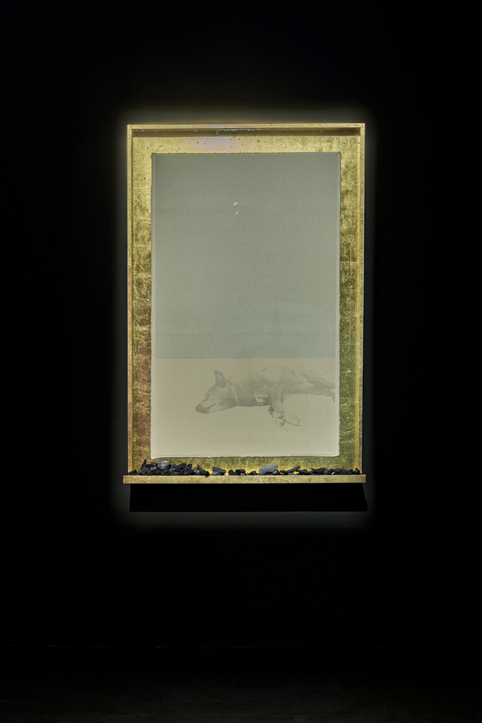 Javier Garcerá. El pico al aire. CentroCentro, 2025. Fotografía: Amapola Creativa