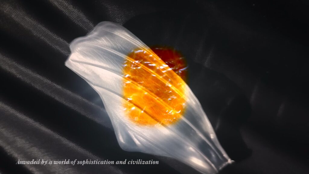 Julieta Hsiung. Three fingers