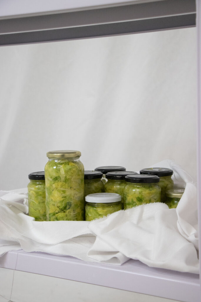 Lucas Marcos Barquilla. El repollo es un alimento difícil de digerir