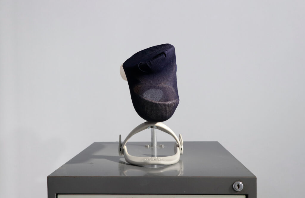 Lucas Marcos Barquilla. La planta del hipotálamo