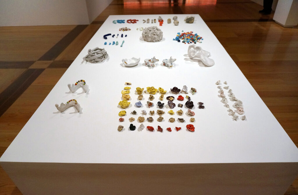 María García Ibáñez. "Huesos/Piedras/Flores". Museo MACO, Monterrey, 2013