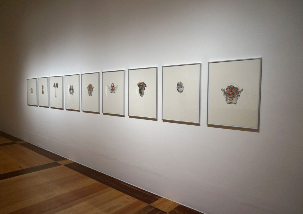 María García Ibáñez. "Huesos/Piedras/Flores". Museo MACO, Monterrey, 2013