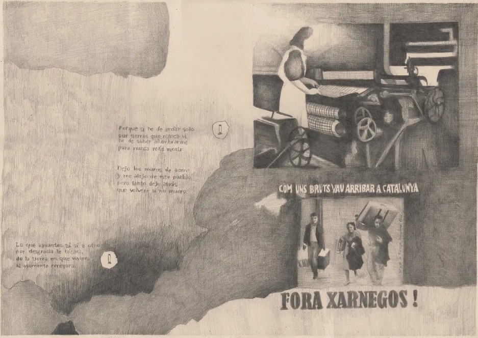 María Rosa Aránega. Àmnesia per abundància, 2024