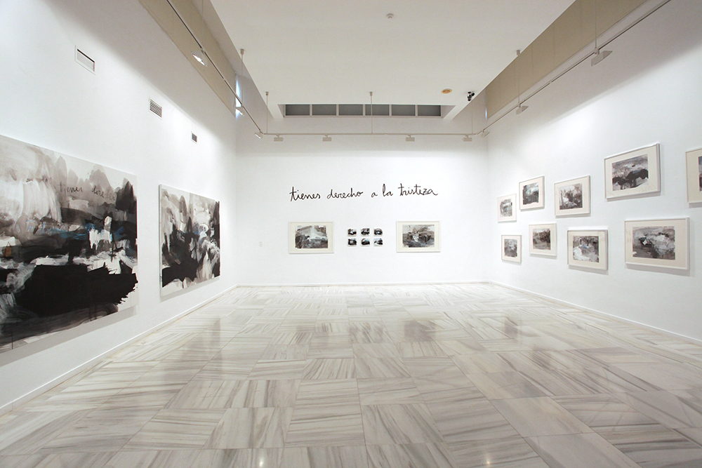 Marta Aguirre. Vidas infinitas en tiempos olvidados. Centro de Arte Contemporáneo Damián Bayón, Santa Fe. Granada, 2011