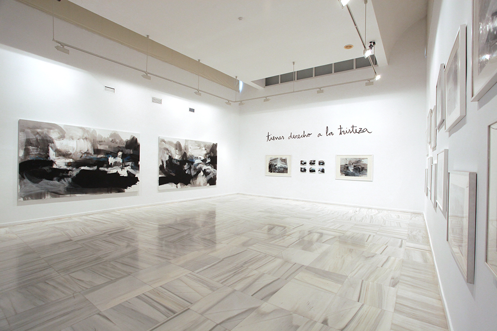 Marta Aguirre. Vidas infinitas en tiempos olvidados. Centro de Arte Contemporáneo Damián Bayón, Santa Fe. Granada, 2011