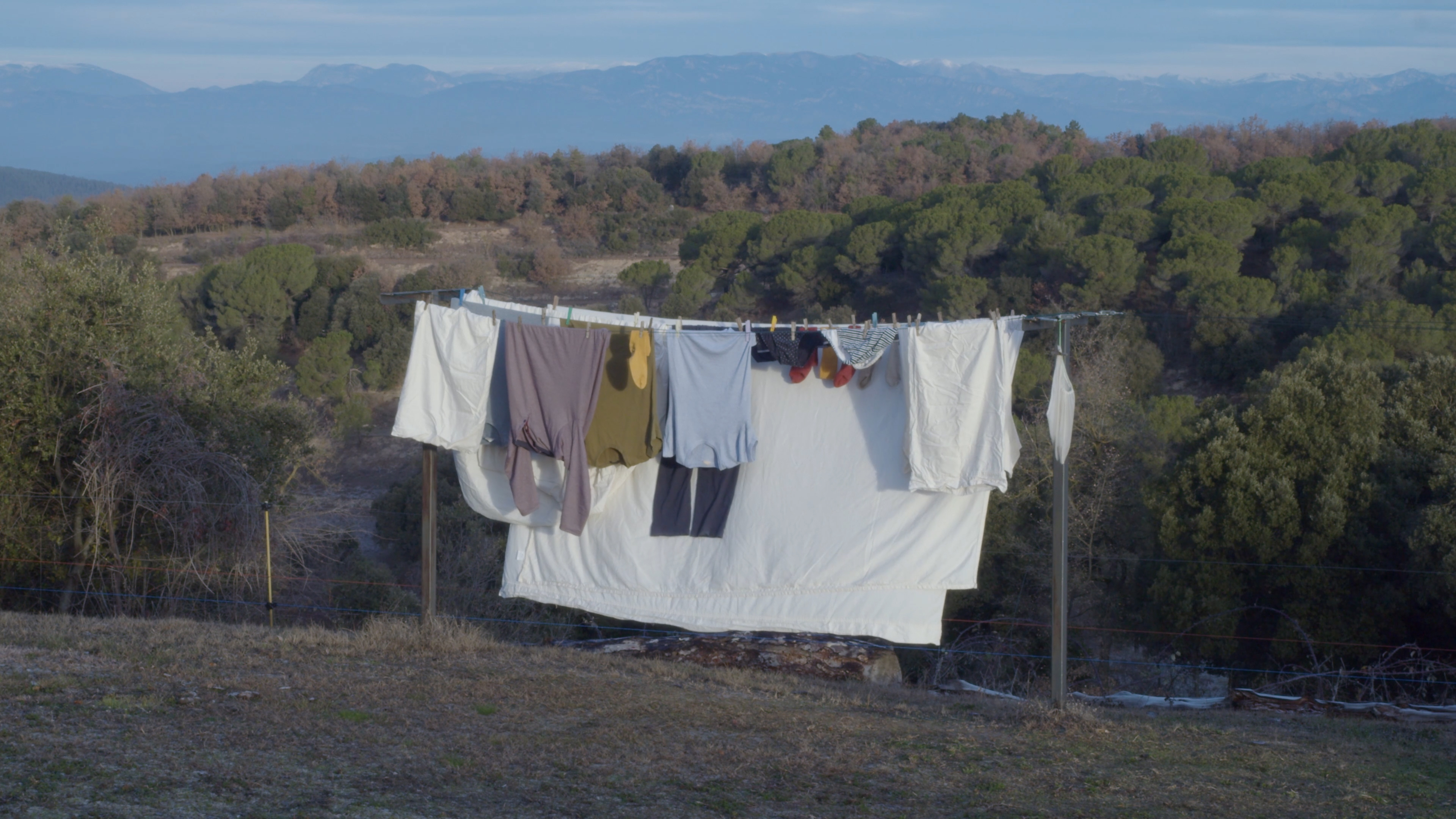 Martí Madaula. The Living Wardrobe, 2024