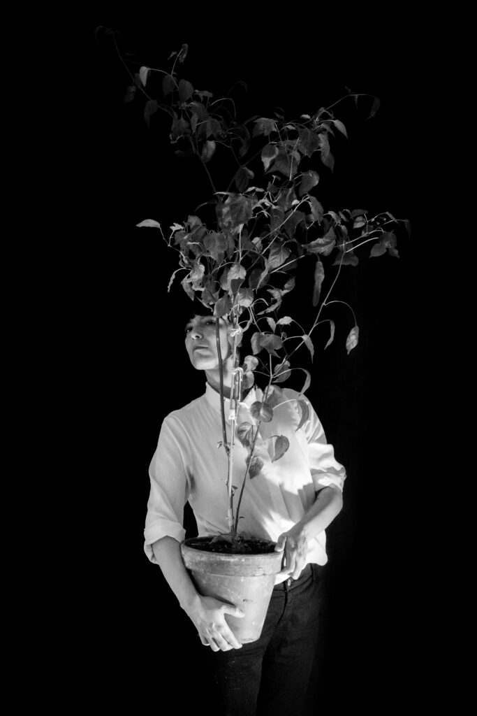 Natalia Pilo Pais. Mi planta de ají amarillo, 2021-2026. Fotografía: Bruno Román Bianchi