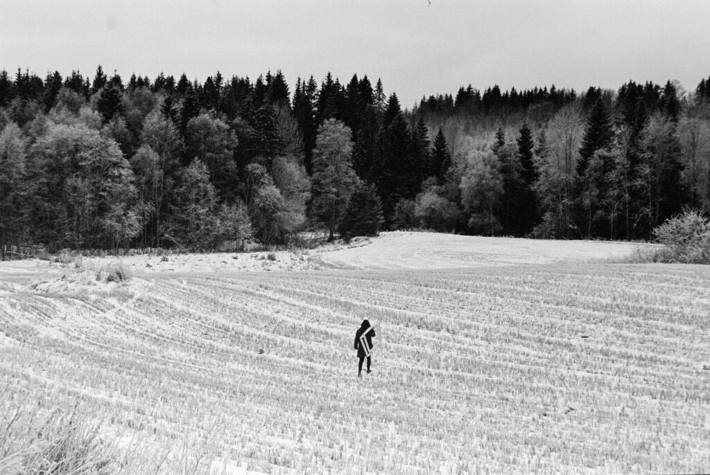 Natalia Pilo Pais en colaboración con Mats Liverød & Bruno Roman. Instalación en bosque de Oslo, 2019