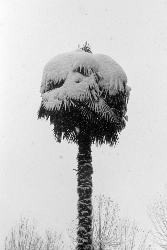 Natalia Pilo Pais. Registro De las nuevas estaciones territoriales, 2021