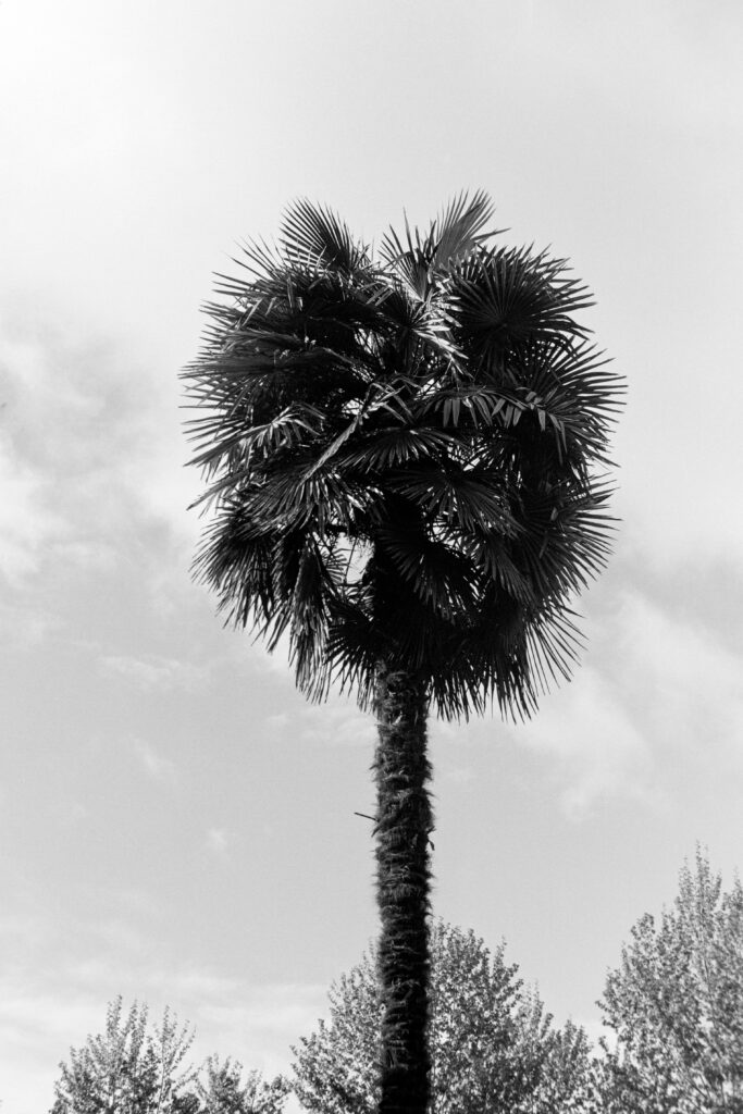 Natalia Pilo Pais. Registro De las nuevas estaciones territoriales, 2021