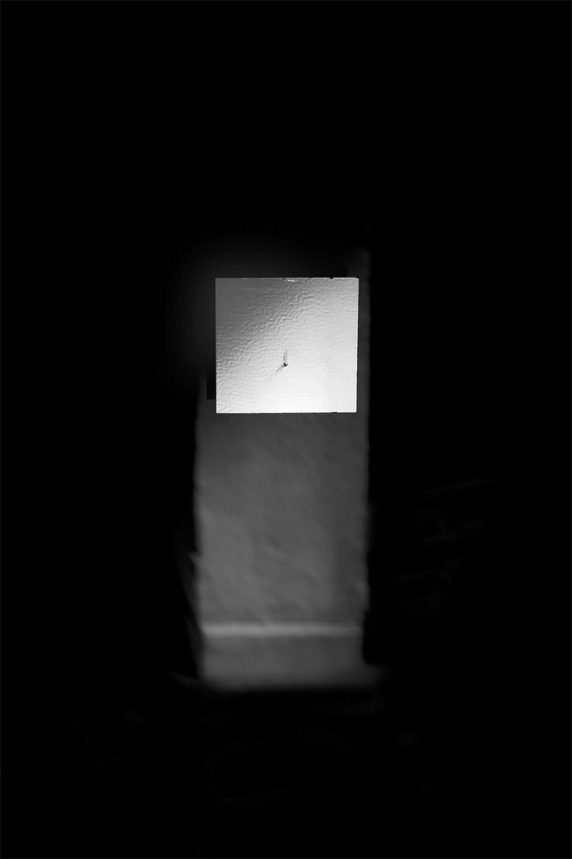 Patricia Bofill. Pasajes, 2009-2010