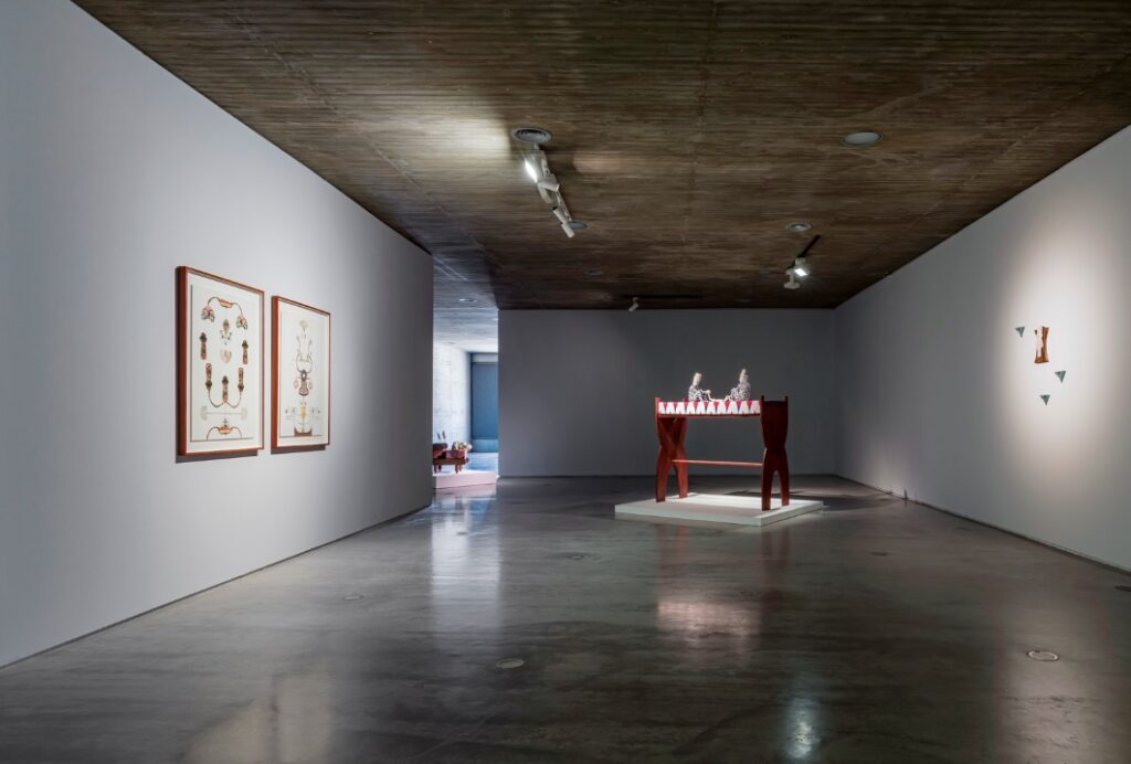 Vista general de En silencio se alzaron lotos. C3A, 2025