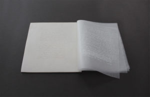 Shirin Salehi. 21- El pequeño libro de las palabras ocultas, 2019