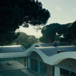 BARQ Festival: cine para habitar de otra manera