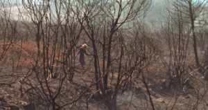 Lo que arde. Oliver Lax