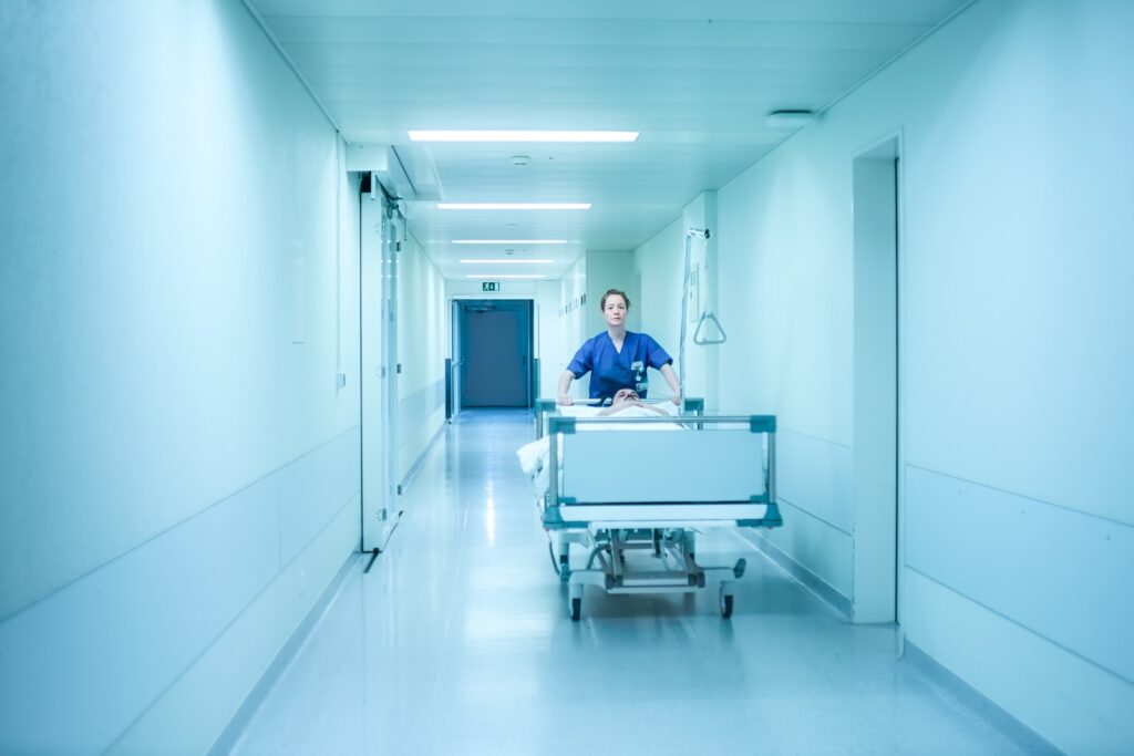 Petra Biondina Volpe. Turno de guardia