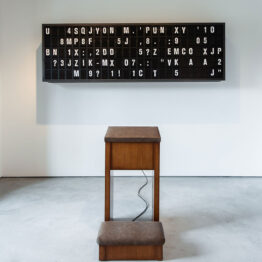 Audio: Appropriate Response, Die Hirt y Tuchelín. Tres obras en la muestra »Still human», en Espacio SOLO