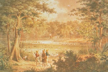 Aves: Lagoa junto ao Rio Sao Francisco, 1823 Carl Fiedrich Phillip