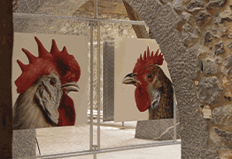 CHILLIDA LEKU (LIMINA 2025) 