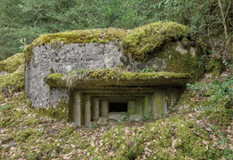 DIPUTACIÓN HUESCA (LÍNEA P 26) 