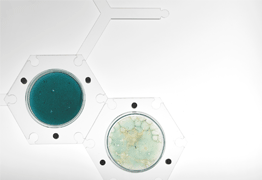 DIP. HUESCA (OCTUBRE 2023)