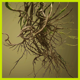 CCCB (RODOREDA 2025) 