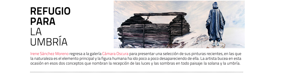 Irene Sánchez Moreno presenta sus nuevas pinturas en la galería cámara oscura. 