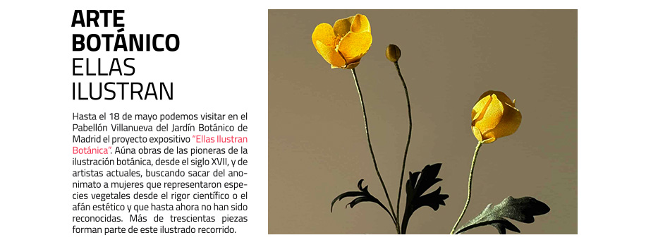 Ellas Ilustran Botánica. El Jardín Botánico de Madrid exhibe
 un proyecto dedicado al trabajo de las pioneras en la ilustración de las plantas junto a obras de artistas actuales