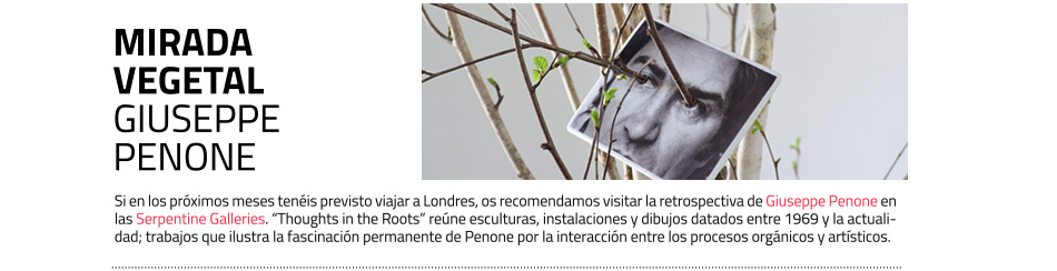 Retrospectiva de Giuseppe Penone en las Serpentine Galleries de Londres