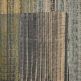 Antoni Forcada obtiene el Premio de Pintura Torres García- Ciutat de Mataró 2026