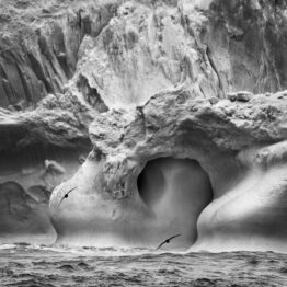 Aqua Mater: Salgado y el agua