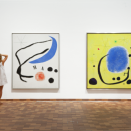 La Fundació Joan Miró de Barcelona, primera institución española en Bloomberg Connects