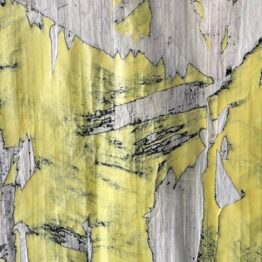 Una flor es una flecha es un flexo un flan es una flor